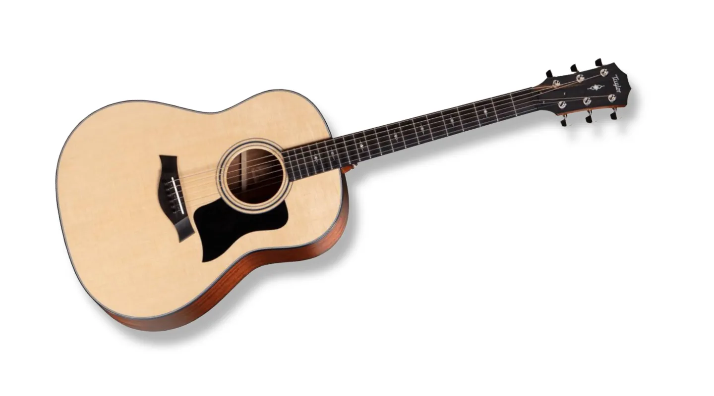 Taylor 317 Acoustic Guitar Acoustic Guitar Taylor 317