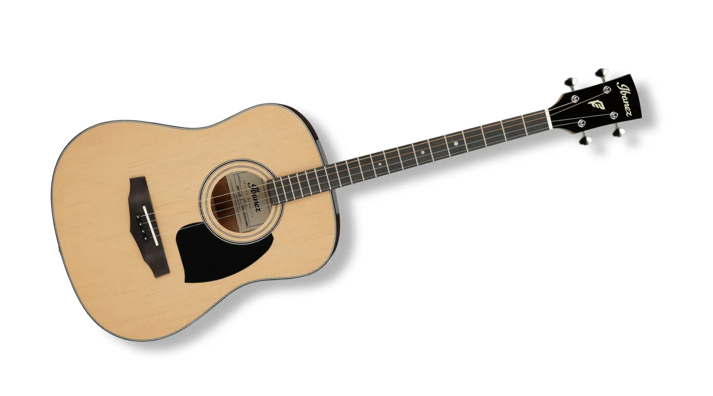 Tenor guitar Tenor guitar type