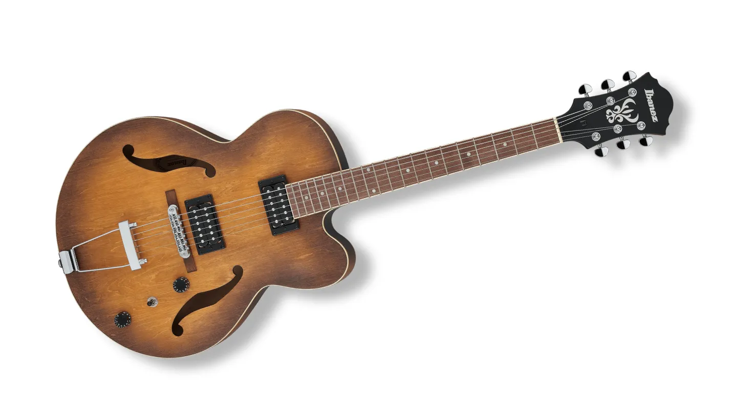 hollow body guitar Hollow guitar type