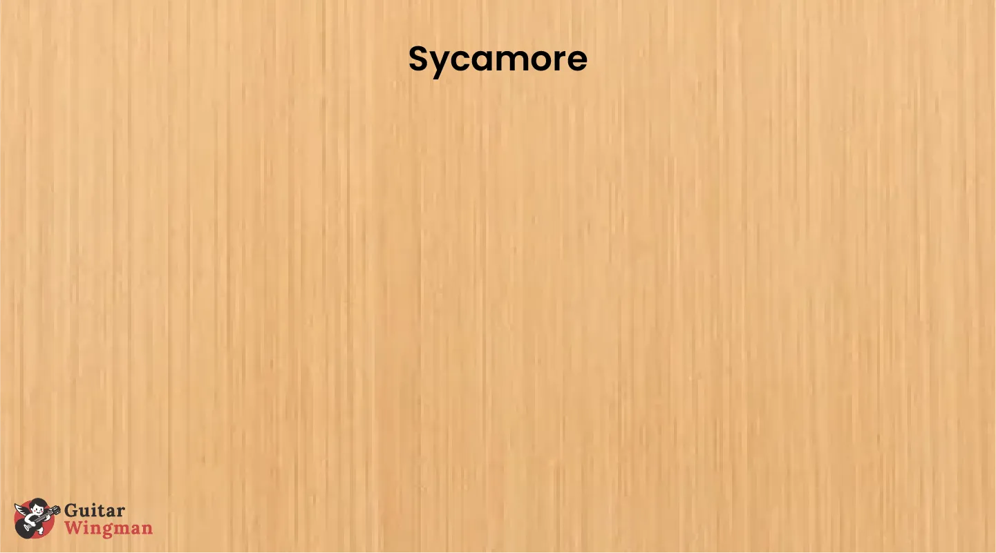sycamore wood material